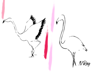 Flamingo, duo
